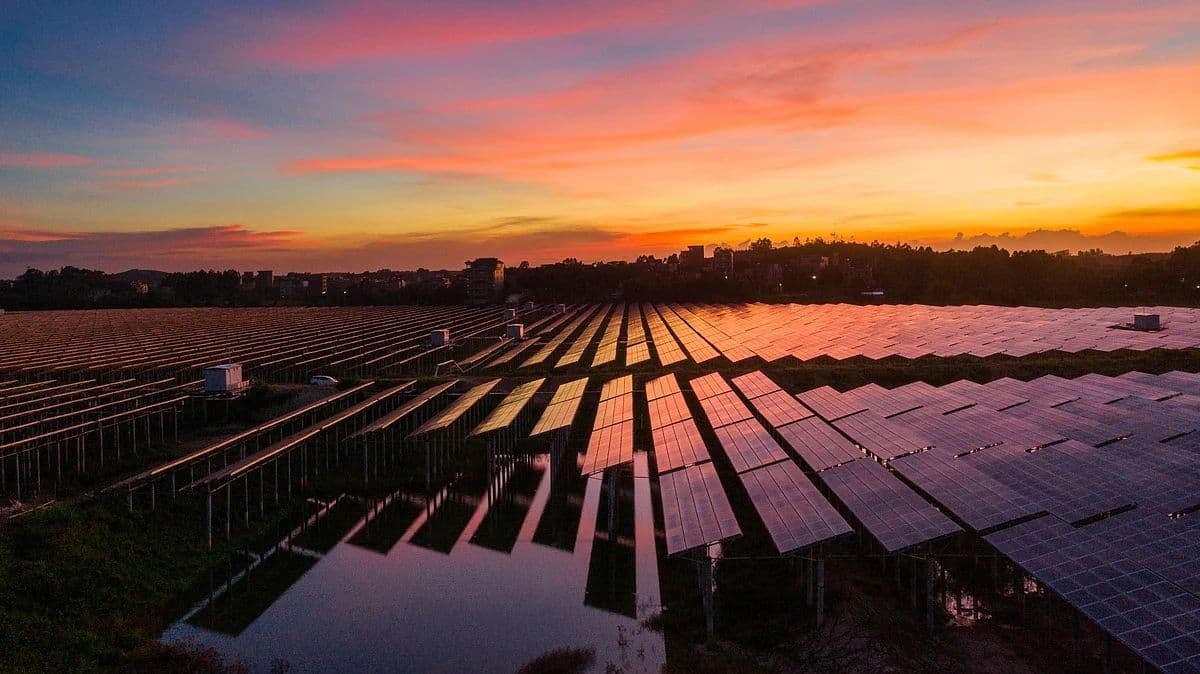 Apollo Green Energy Limited Unlisted Shares Poised for Growth as Hazoor Multi Projects Secures ₹913 Crore Solar Power Contract