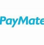 Paymate India Limited Shares Logo