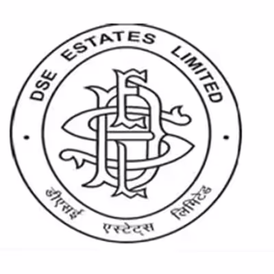 DSE Estates Ltd (Formerly Delhi Stock Exchange) Shares Logo